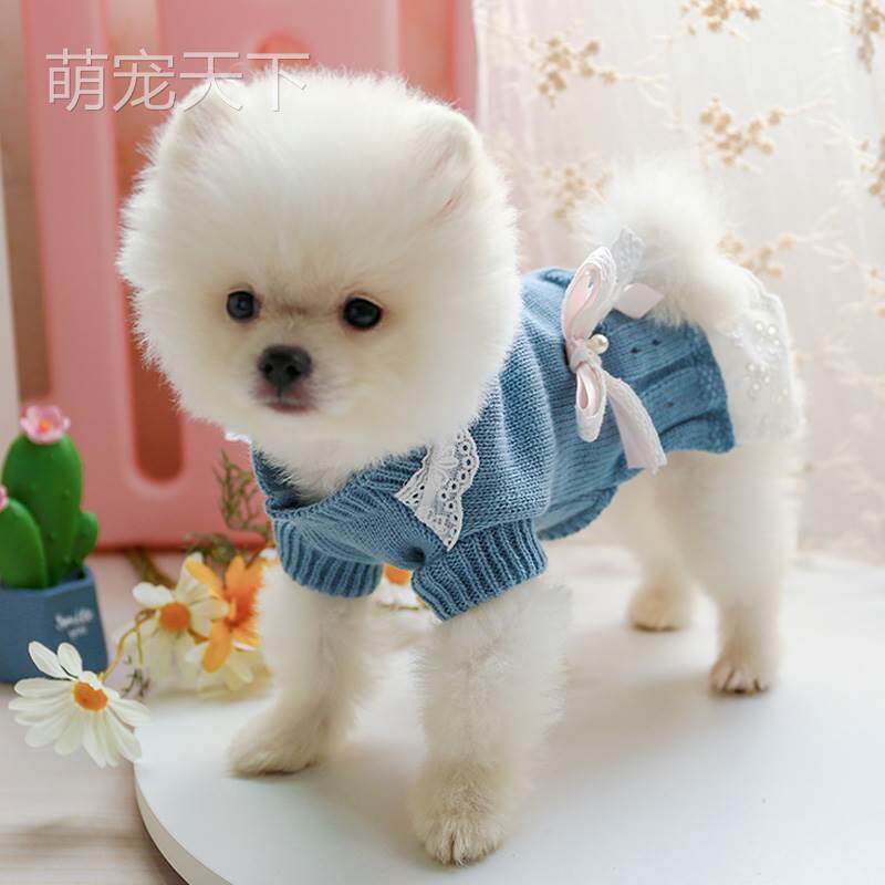 泰迪小狗狗型穿茶的衣服小犬搞怪柴犬幼犬护肚子2个月博美杯犬