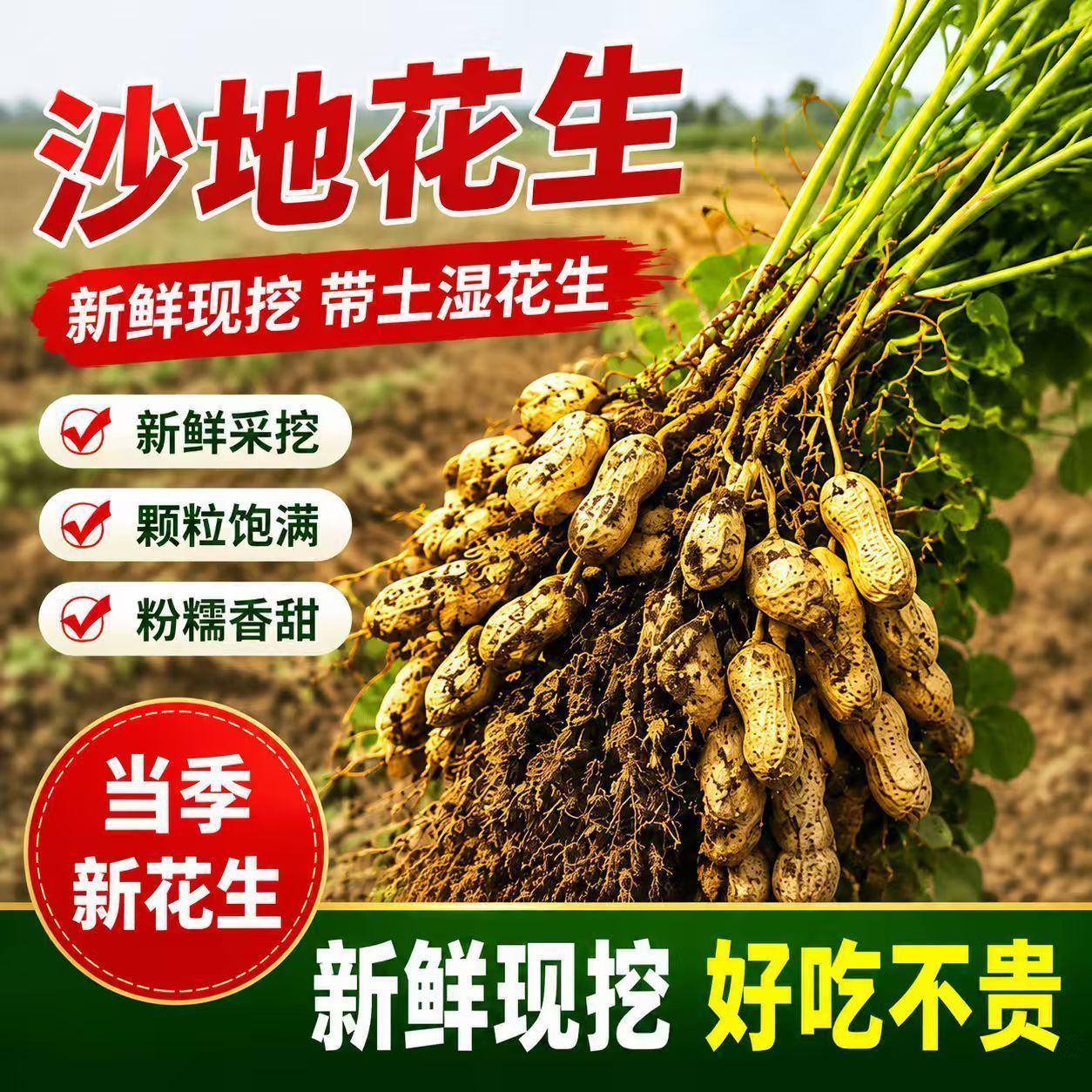 新鲜花生湿花生带泥带壳粉皮多粒