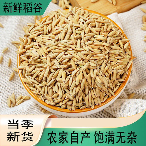 稻谷鸡鸭鹅优质农产品自产新货