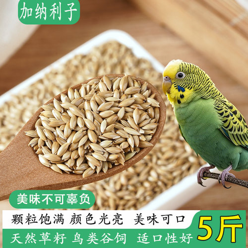 加纳利子农家甄选5斤虎皮鹦鹉画眉麻雀金丝雀白尖粮食原粮大颗粒