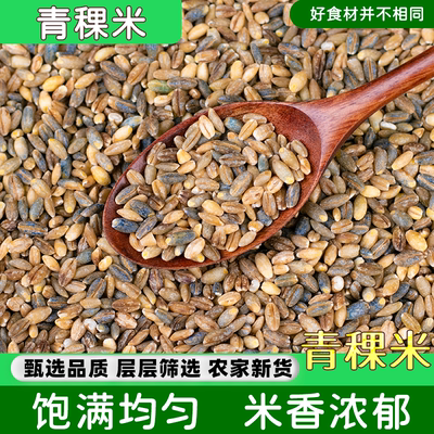 优质青稞米青海西藏高原蓝青稞