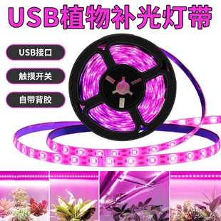 led多肉专用补光灯全光谱防水植物生长灯带usb家用花卉种植灯带
