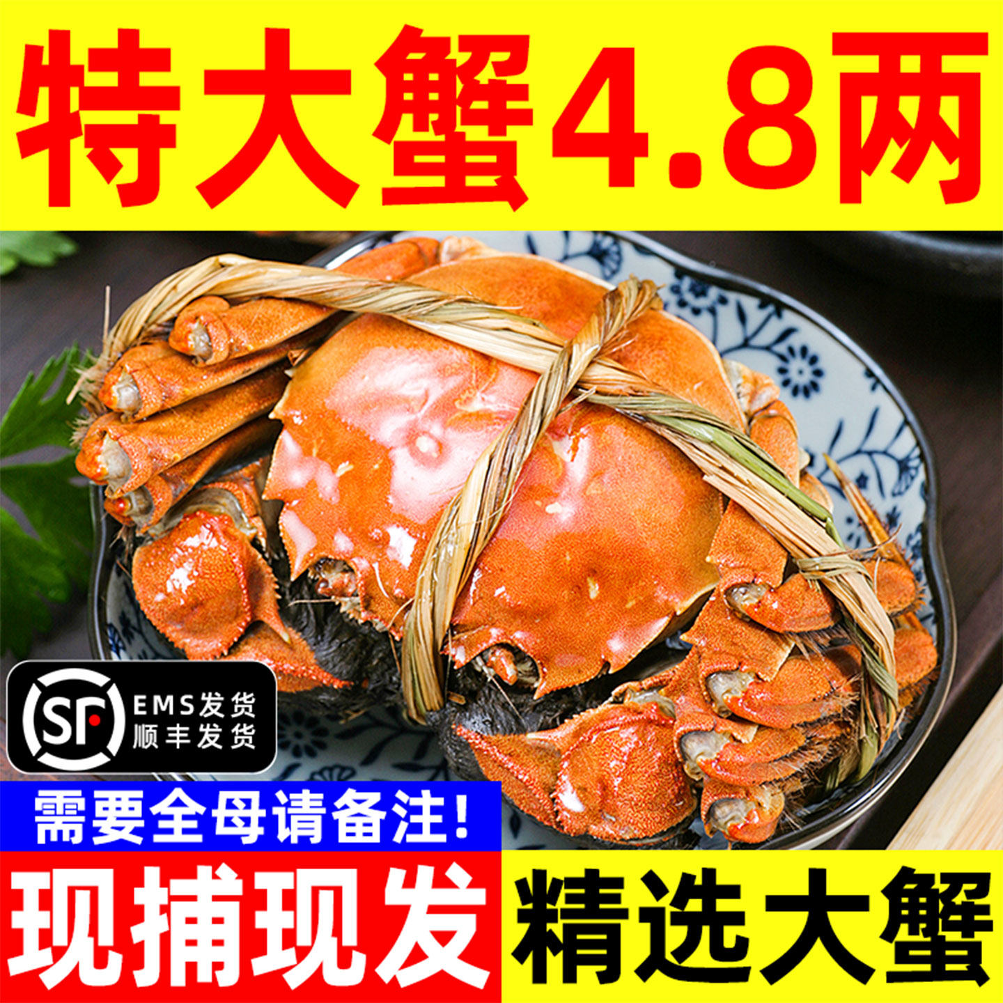 活蟹大闸蟹螃蟹鲜活6-16只毛蟹全母蟹海鲜河蟹红膏蟹官方旗舰店