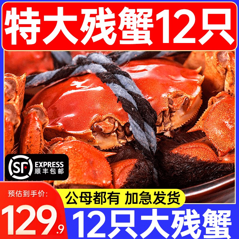 活蟹12只残蟹大闸蟹鲜活公母特大阳澄湖镇断腿缺脚螃蟹官方旗舰店