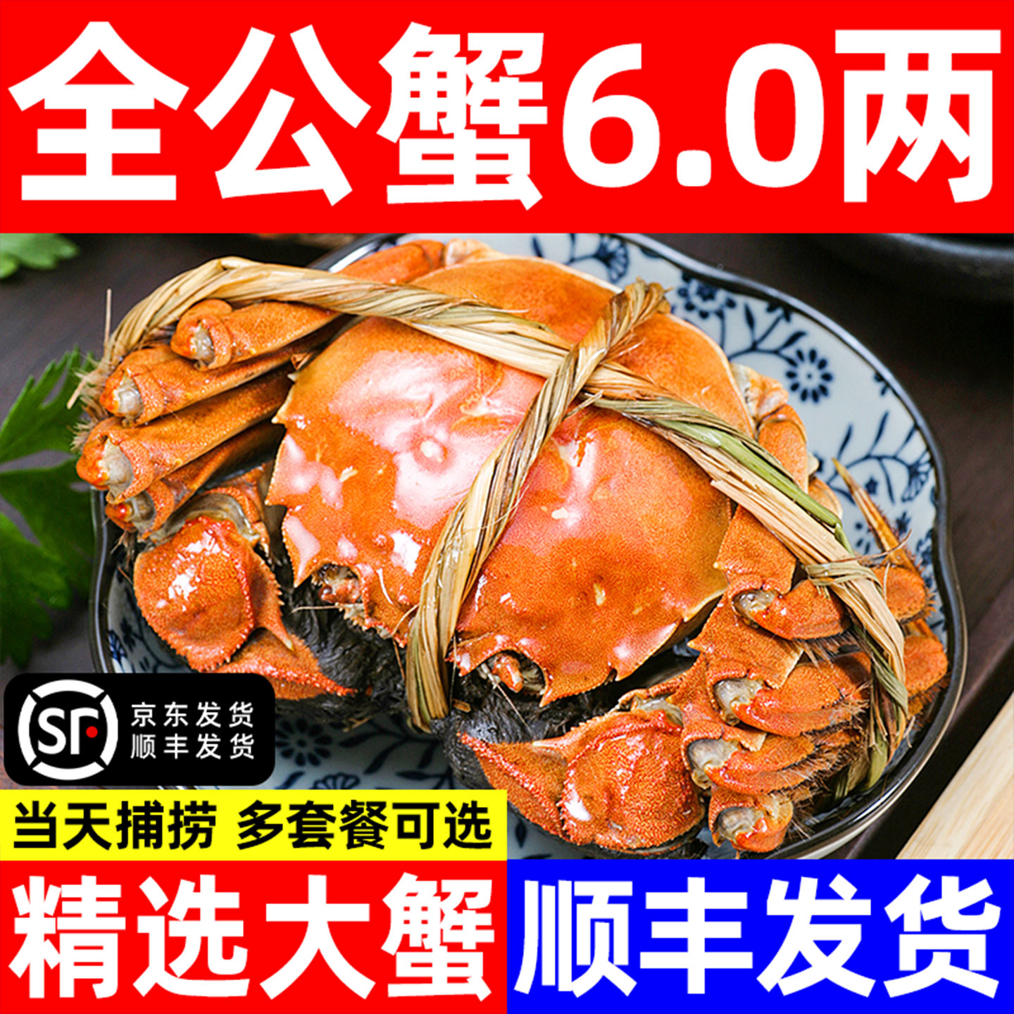 顺丰阳澄大闸蟹礼盒河蟹螃蟹鲜活
