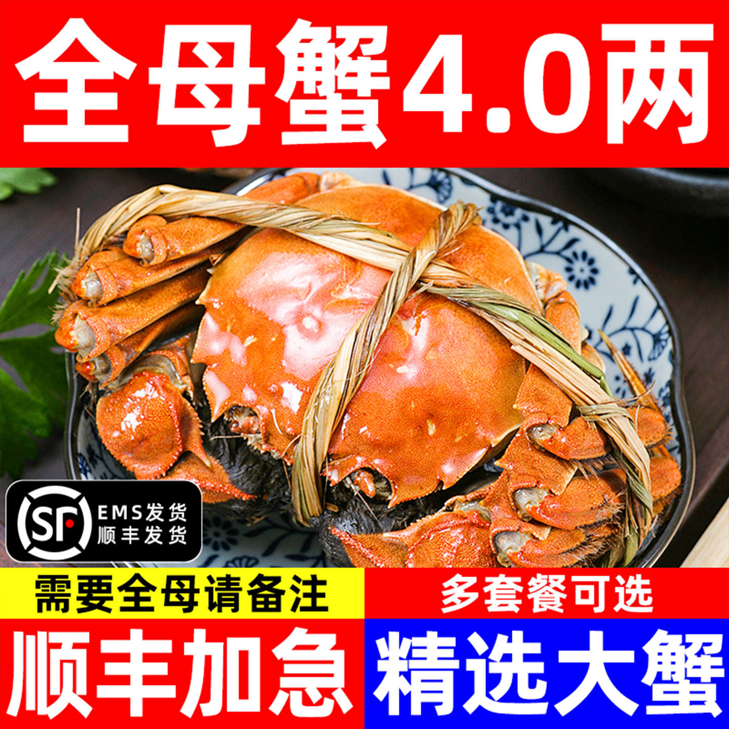 活蟹大闸蟹螃蟹鲜活红膏蟹公母6-16只中秋礼盒海鲜水产河蟹旗舰店