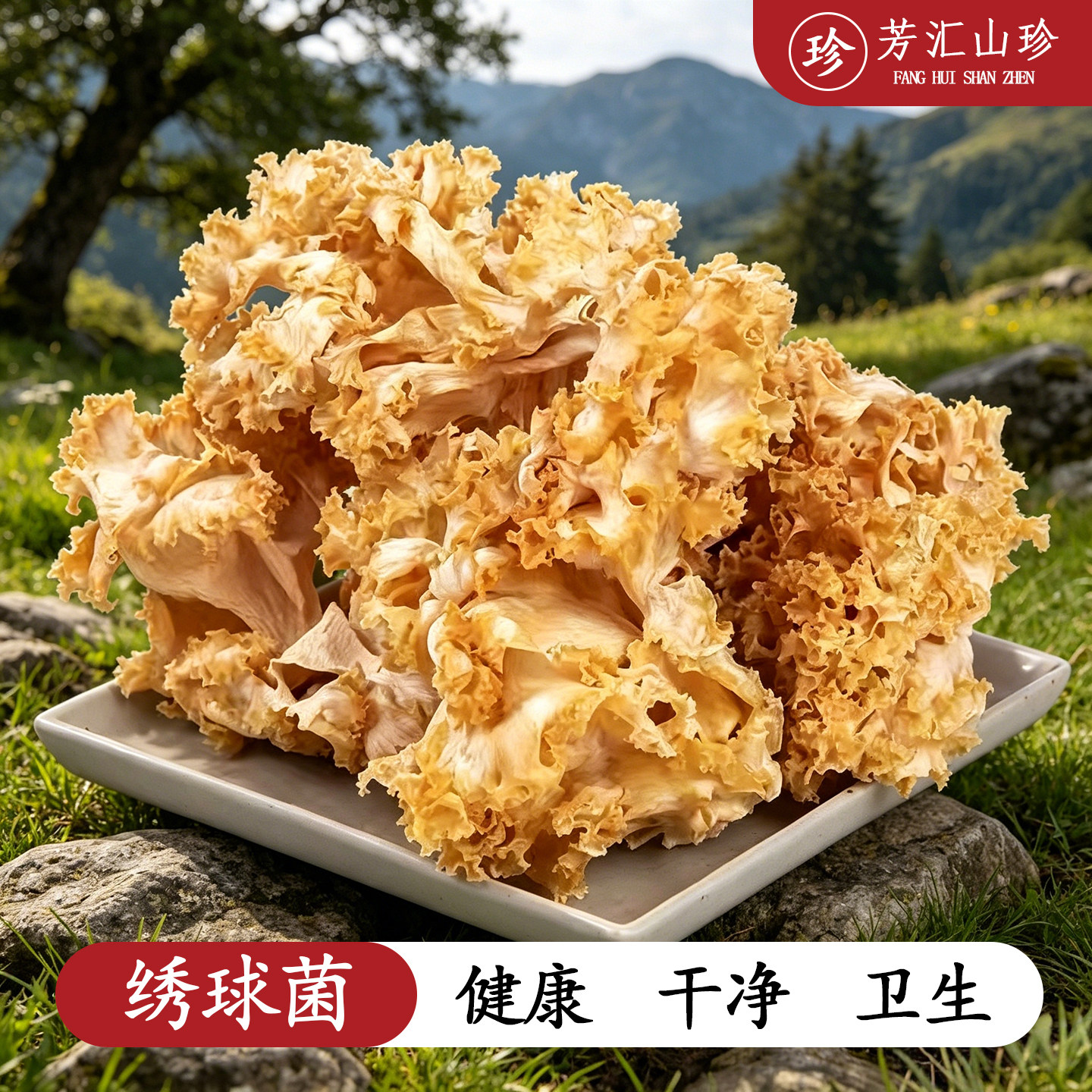 云南绣球菌干货食用菌煲汤食材图片