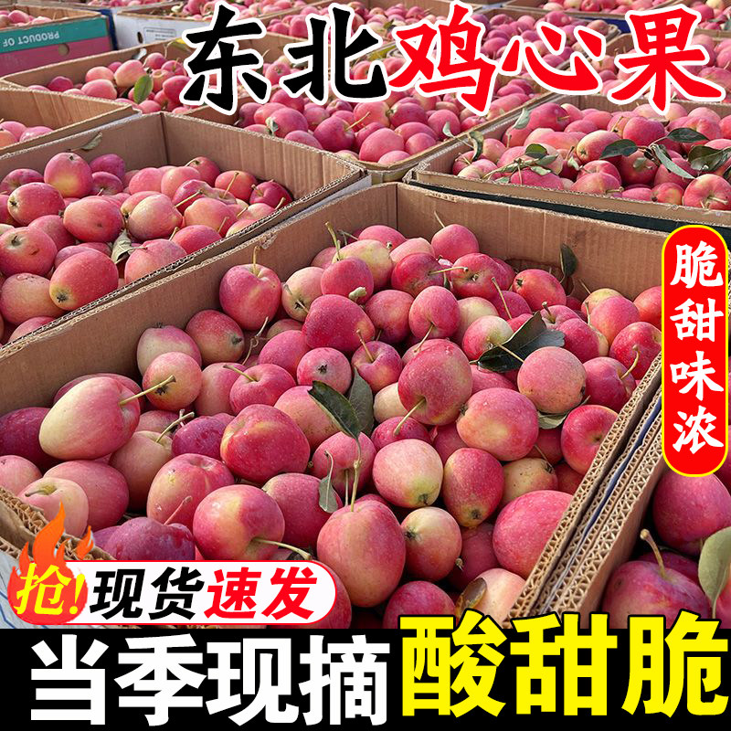 正宗东北鸡心果产地直发海棠果迷你小苹果新鲜水果沙脆甜整箱包邮