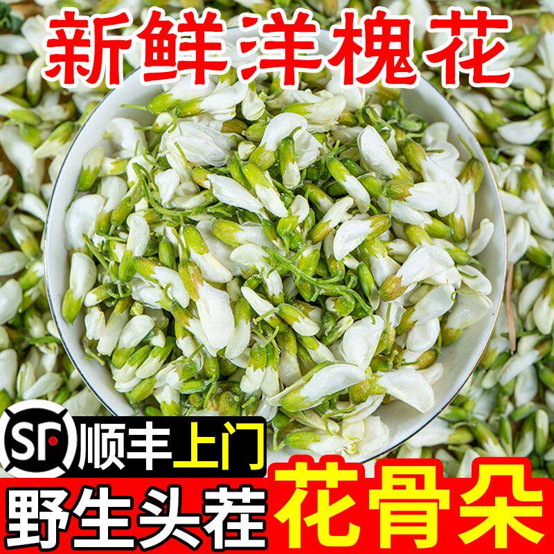 2026洋槐花新鲜现摘杨槐花骨朵当季槐树花苞顺丰包邮槐米野生野菜