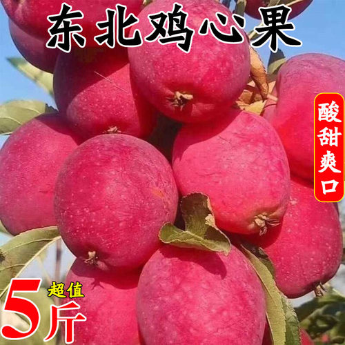 东北鸡心果5斤脆甜爽口新鲜现摘
