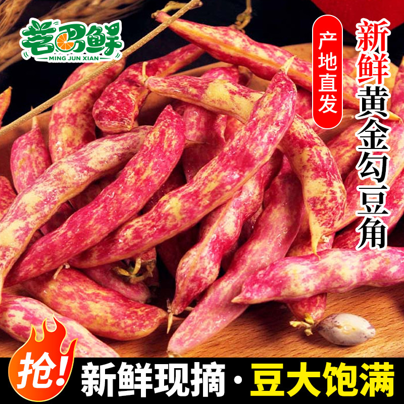 东北黄金钩豆角现摘新鲜蔬菜油豆角鼓豆黄金勾豆角红金沟当季农家
