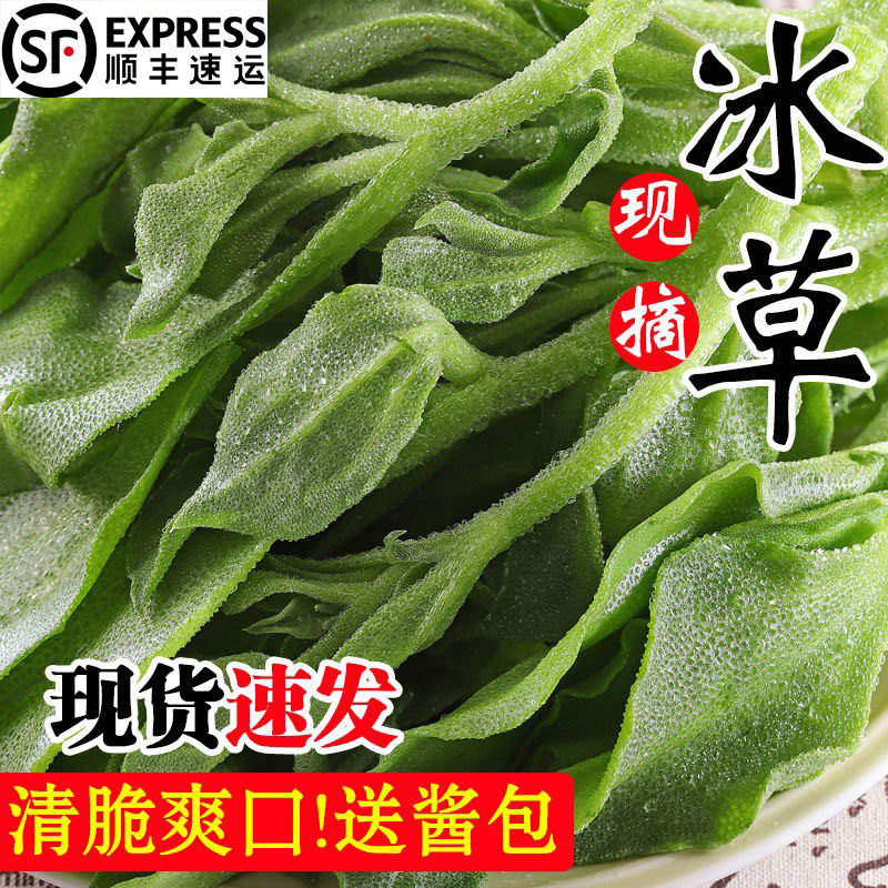 顺丰冰草新鲜蔬菜冰菜非洲生菜沙拉菜鲜嫩凉拌菜即食水晶火锅生吃