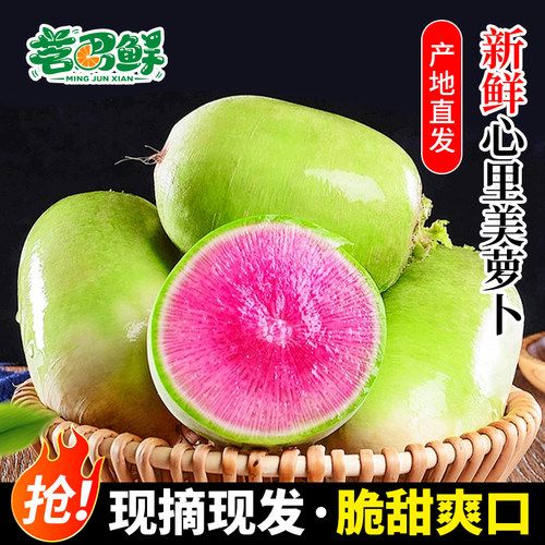 心里美红心萝卜新鲜现挖潍坊直发
