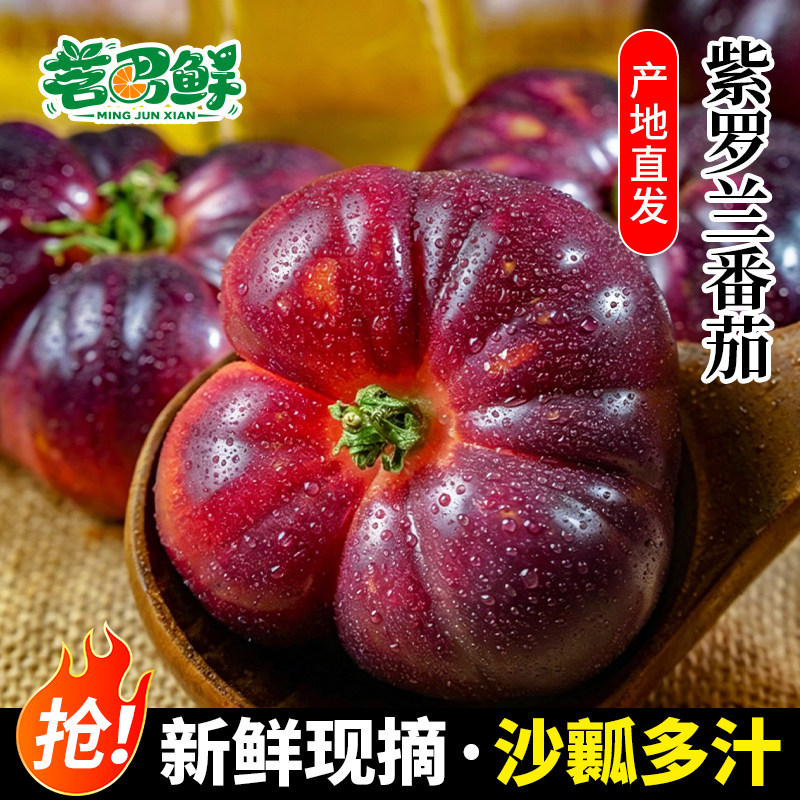 山东寿光紫罗兰番茄紫元帅西红柿鲜果火山紫色紫皮水果大番茄新鲜