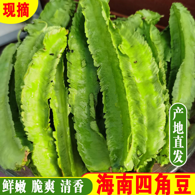 海南四角豆新鲜四棱豆龙豆三亚龙角豆时令蔬菜四季豆当季农家自种