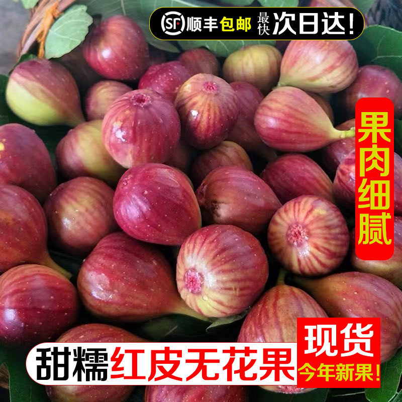 顺丰四川无花果鲜果新鲜天然水果青红皮大果孕妇现摘当季整箱包邮