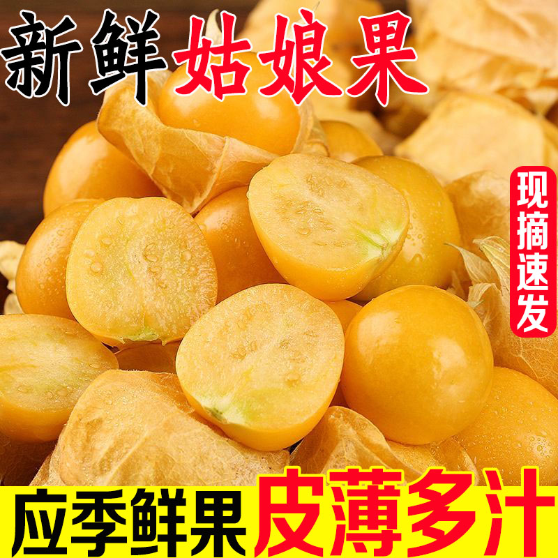 东北姑娘果新鲜灯笼果菇凉果小菇娘果龙当季整箱水果特产黄皮鲜果