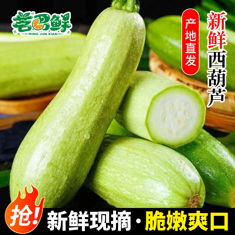 云南高山西葫芦新鲜蔬菜当季小瓜三月瓜小嫩瓜角瓜嫩南瓜农家自种