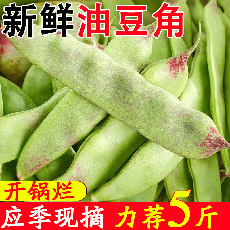 正宗东北油豆角现摘新鲜的农家特产蔬菜一点红大宽面豆角子九月青