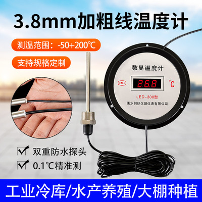 数显温度计带探头气温水温测量计