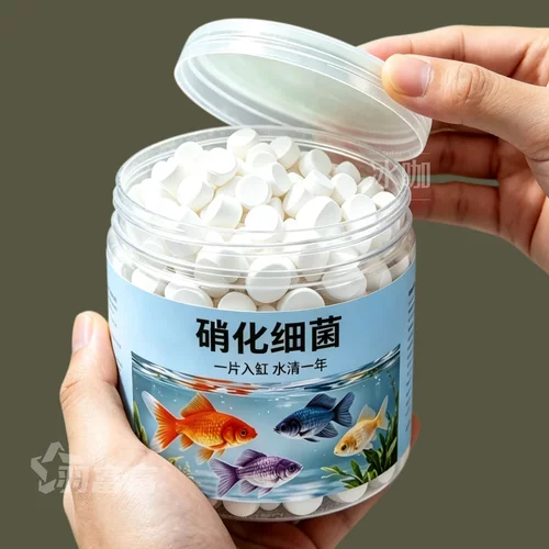硝化细菌鱼缸用净水剂养鱼净化水质稳定剂分解鱼粪消化浓缩活菌液