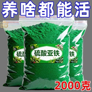 硫酸亚铁花肥料喜酸植物通用改善黄叶发财树栀子花通用型水溶肥料