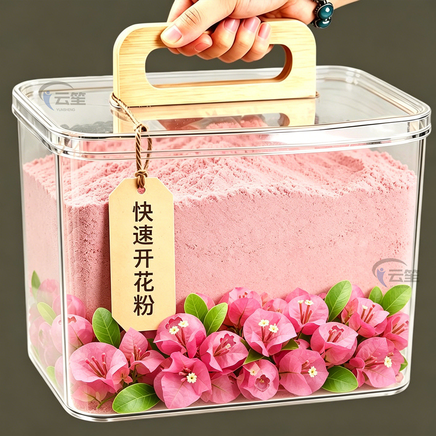 速效快速开花粉盆栽绿植促花促芽