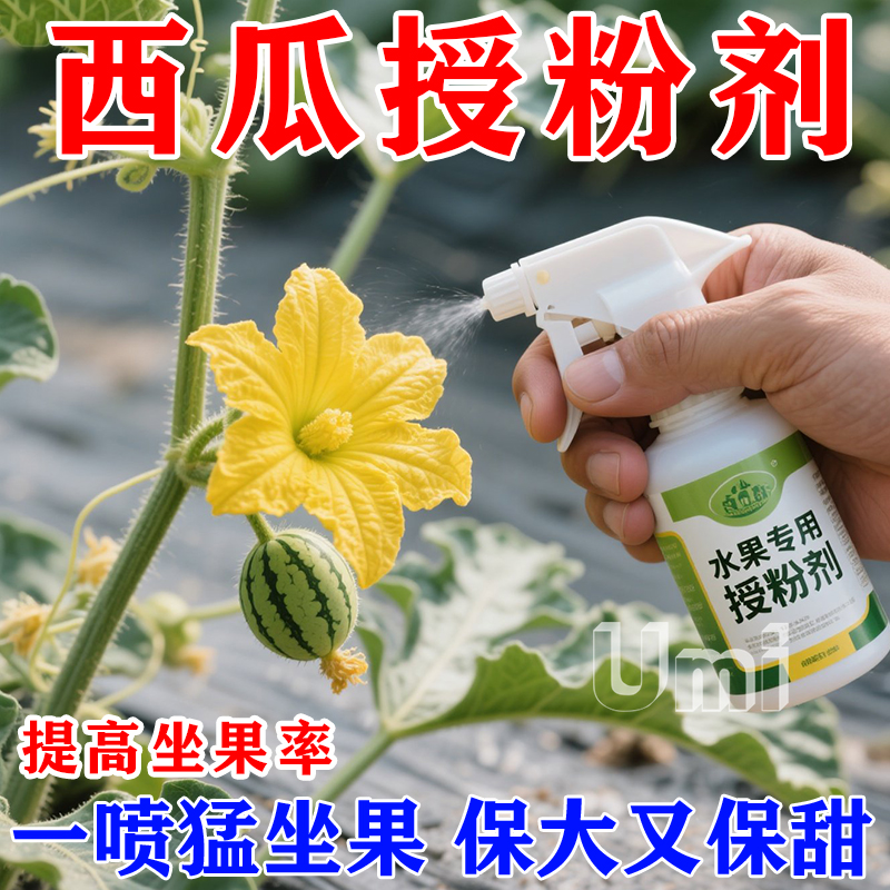 新款西瓜授粉剂点花药免沾花授粉坐果精保花保果素西瓜肥料叶面肥
