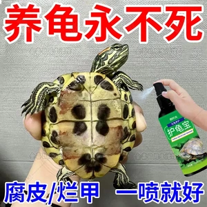 护龟宝乌龟消毒液专治腐皮烂甲白眼病厌食净化水质杀菌宠物消毒液