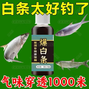 专钓白条鱼小药野钓白条餐条翘嘴马口鱼食促食剂窝料添加剂开口剂