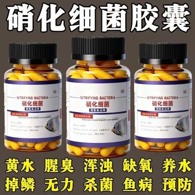 硝化细菌鱼缸专用胶囊净水活菌剂