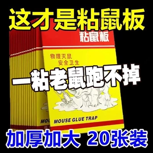 30张老鼠粘强力粘鼠板加大加厚家用粘大老鼠一窝端老鼠贴捕鼠神器