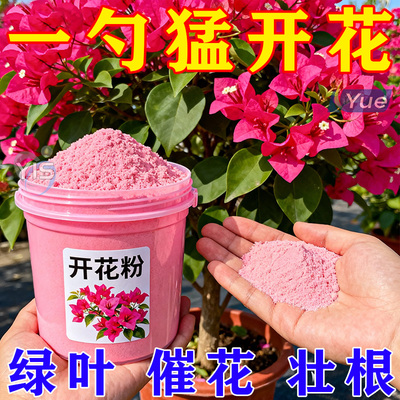 家用正品强效快速开花粉通用型玫瑰月季花爆花盆栽花卉植物通用型