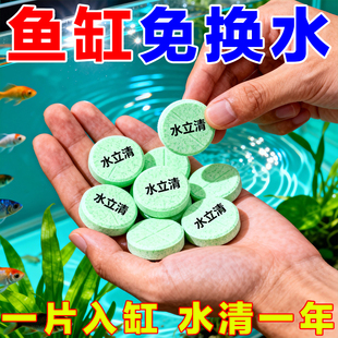 鱼缸水立清片澄清澈净水剂净化水质除臭去腥去绿去黄硝化细菌净水