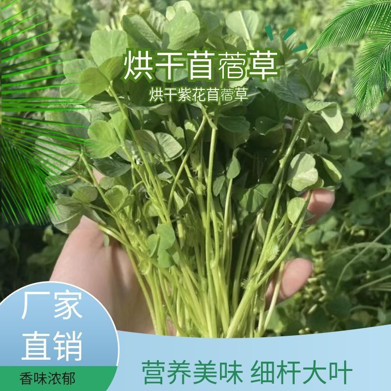 幼期兔用紫花苜蓿干草标准规格