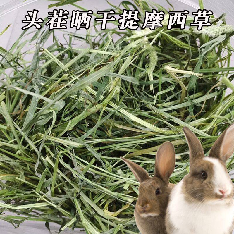 天然晒干提摩西兔干草幼兔适用