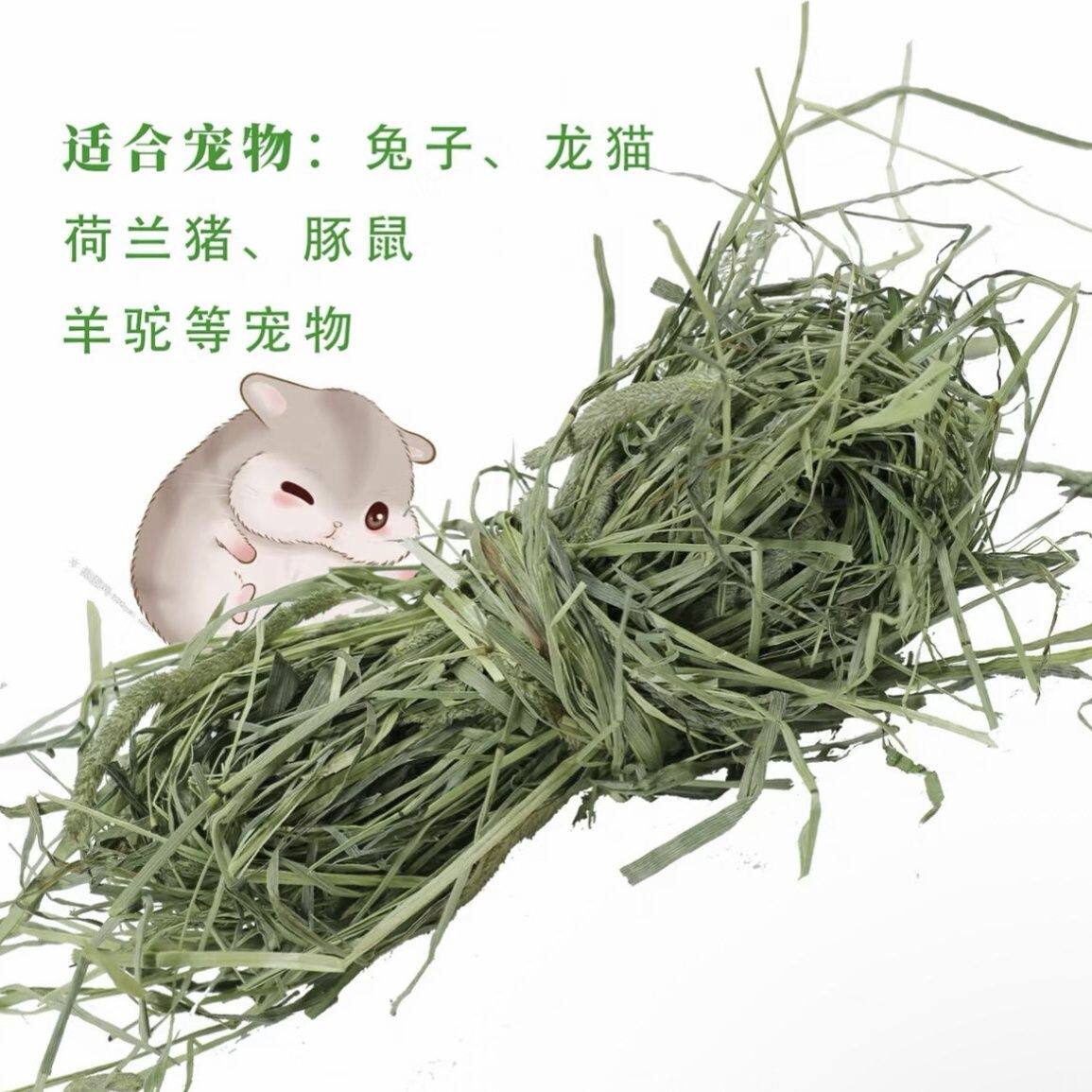 天然晒干提摩西兔干草1-3月幼兔