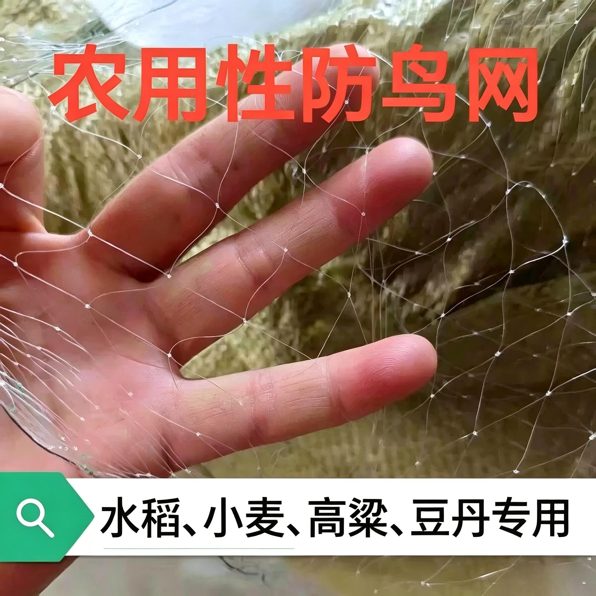 农用大棚通风口防鸟网