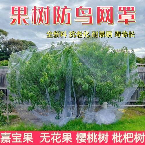 果树防鸟网罩嘉宝果枇杷樱桃蓝莓果园尼龙防护网菜地阳台保护罩