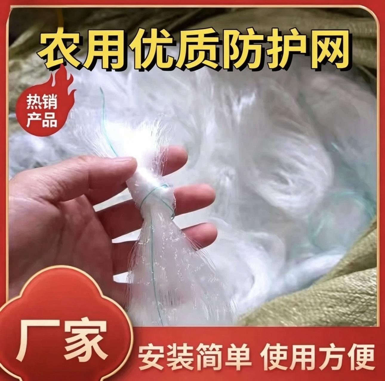 农用防鸟网稻谷高粱西瓜