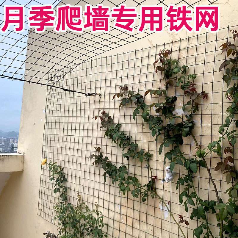 蔷薇月季爬藤铁丝网植物爬墙网格藤曼墙面牵引网园艺爬藤网