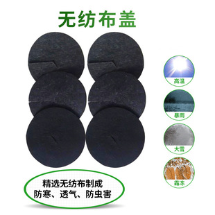 小盆栽纺布盖多肉植物纺布盖透气防寒防草布除盖草布纺布盖