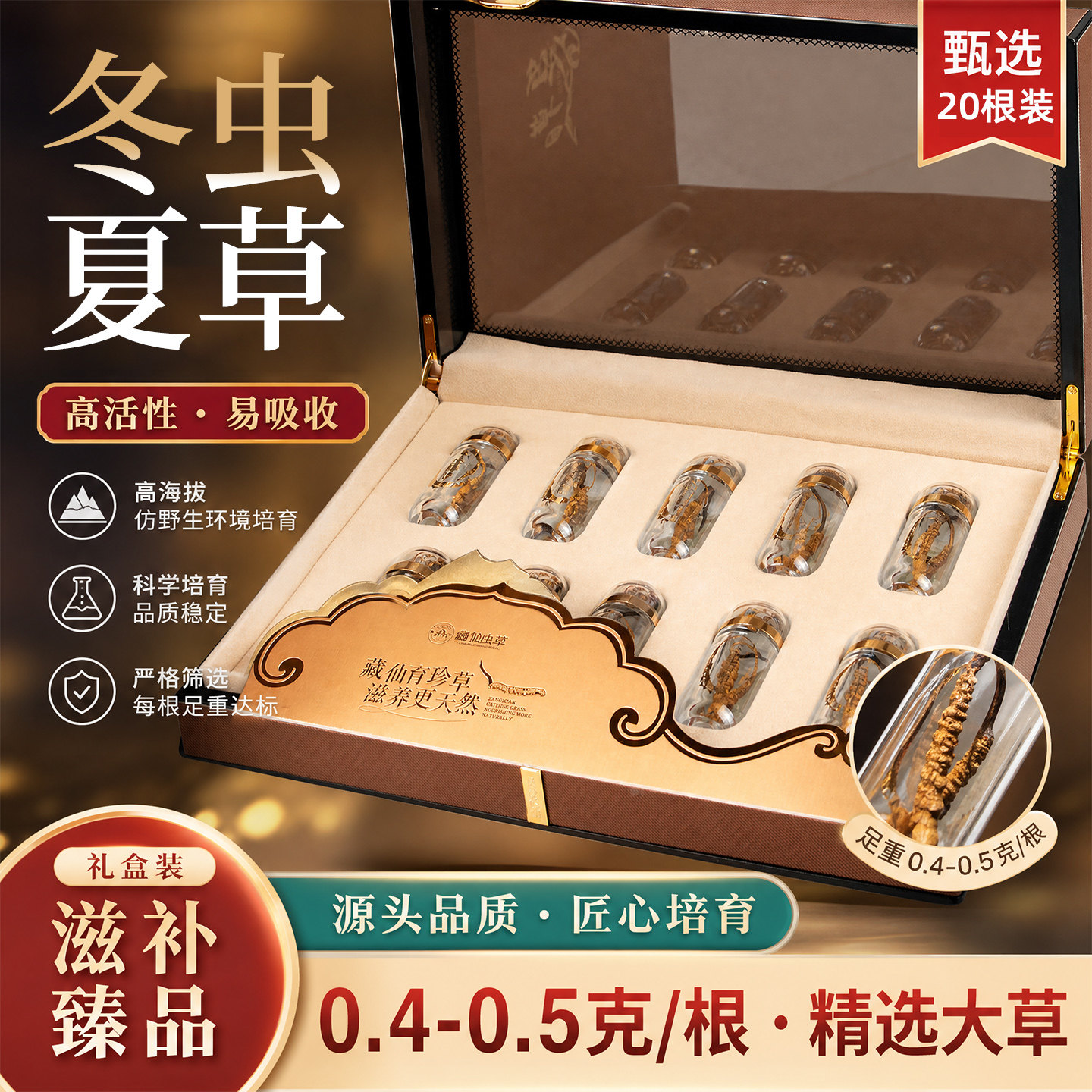 藏仙冬虫夏草木盒礼盒20根