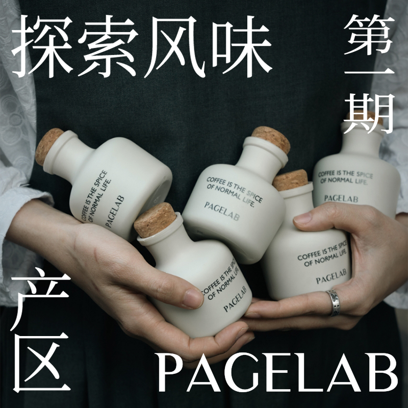 PAGELAB佩植精品手冲咖啡豆组合mini瓶浅烘哥伦比亚瑰夏埃塞150g