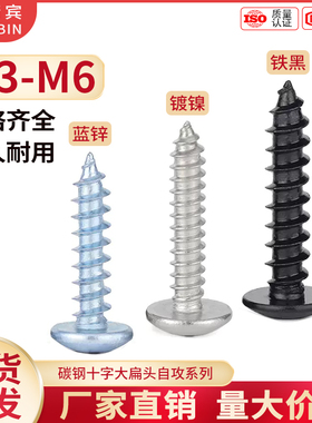 黑色大扁头自攻螺丝蓝白锌加硬蘑菇圆头自攻钉镀镍大伞头木螺钉