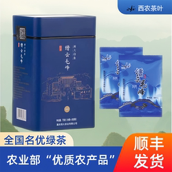 西南大学西农茶叶西大印象缙云毛峰尊师绿茶2024春茶礼品官方75克