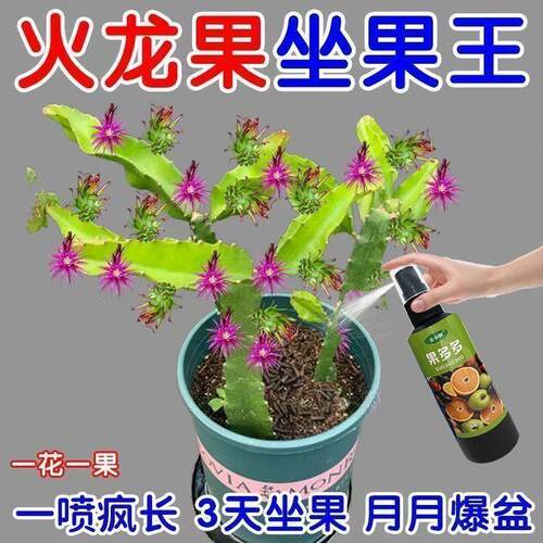 【猛坐果】火龙果专用肥料催芽生根增红增甜提质增产速冲施肥氮肥