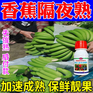 催熟剂香蕉催熟生长调节加快转色增甜乙烯芒果番茄柿子水果催熟剂