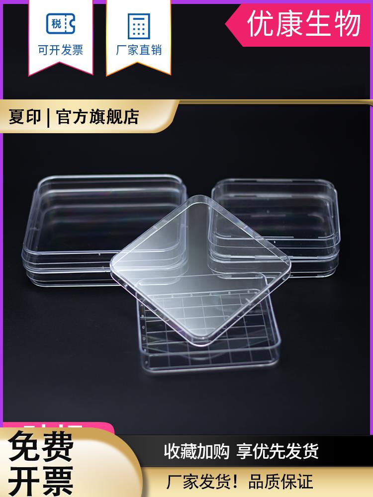 一次性无菌塑料培养皿10/13/25厘米细菌培圆形方形培养皿刻度透明办公耗材摆件