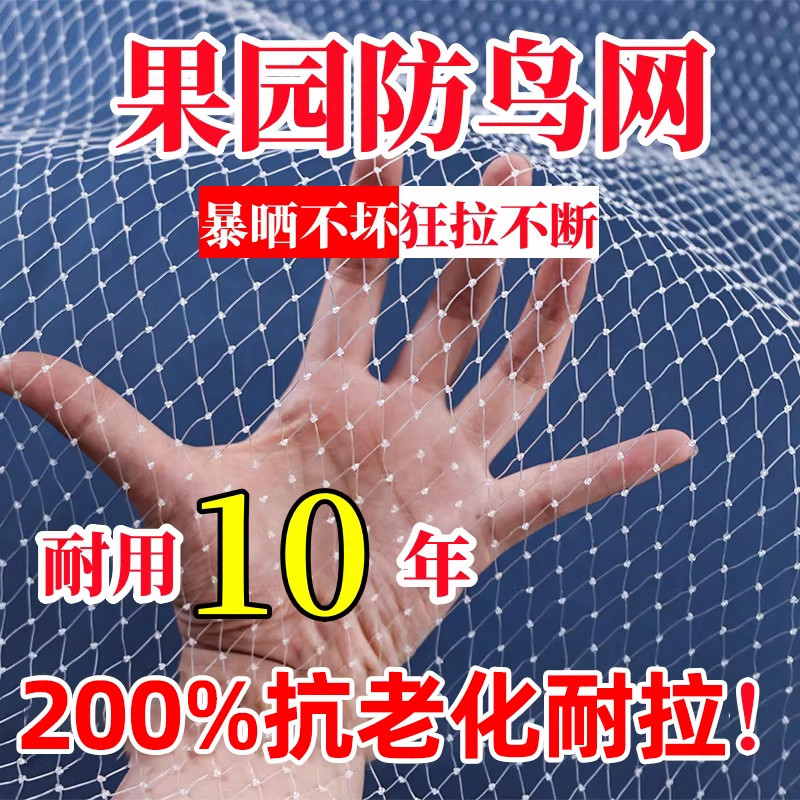 防鸟网果树果园大棚尼龙线防乌网阳台樱桃树葡萄窗户鱼塘阳台护网